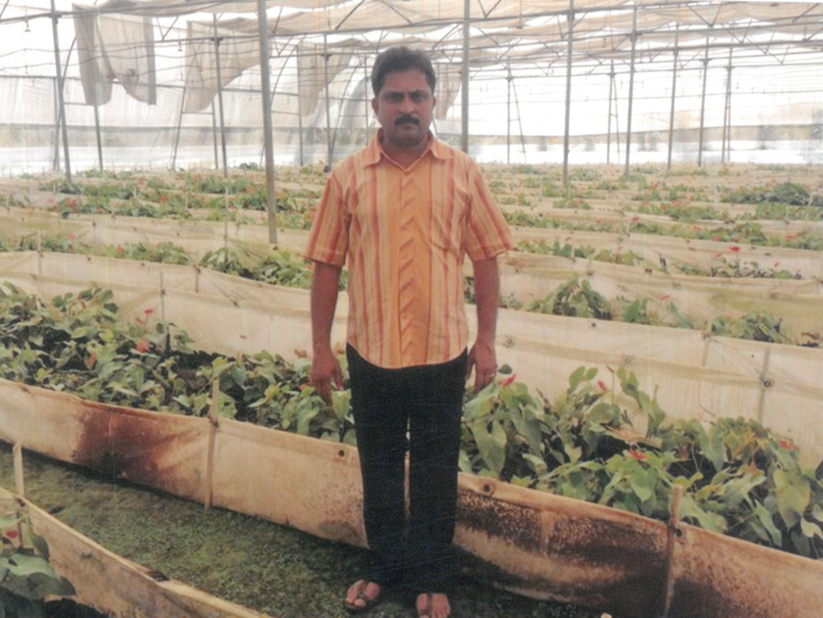 Social, Cultural & Community Programs 